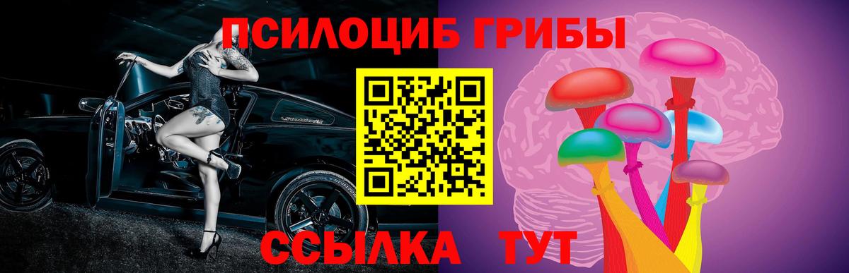 Галлюциногенные грибы Cubensis Реутов